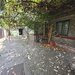 CASA-RAHOVA–TEIUS | TEREN 197MP |  122 MP UTILI - 3 CAMERE | 0% COMISION |